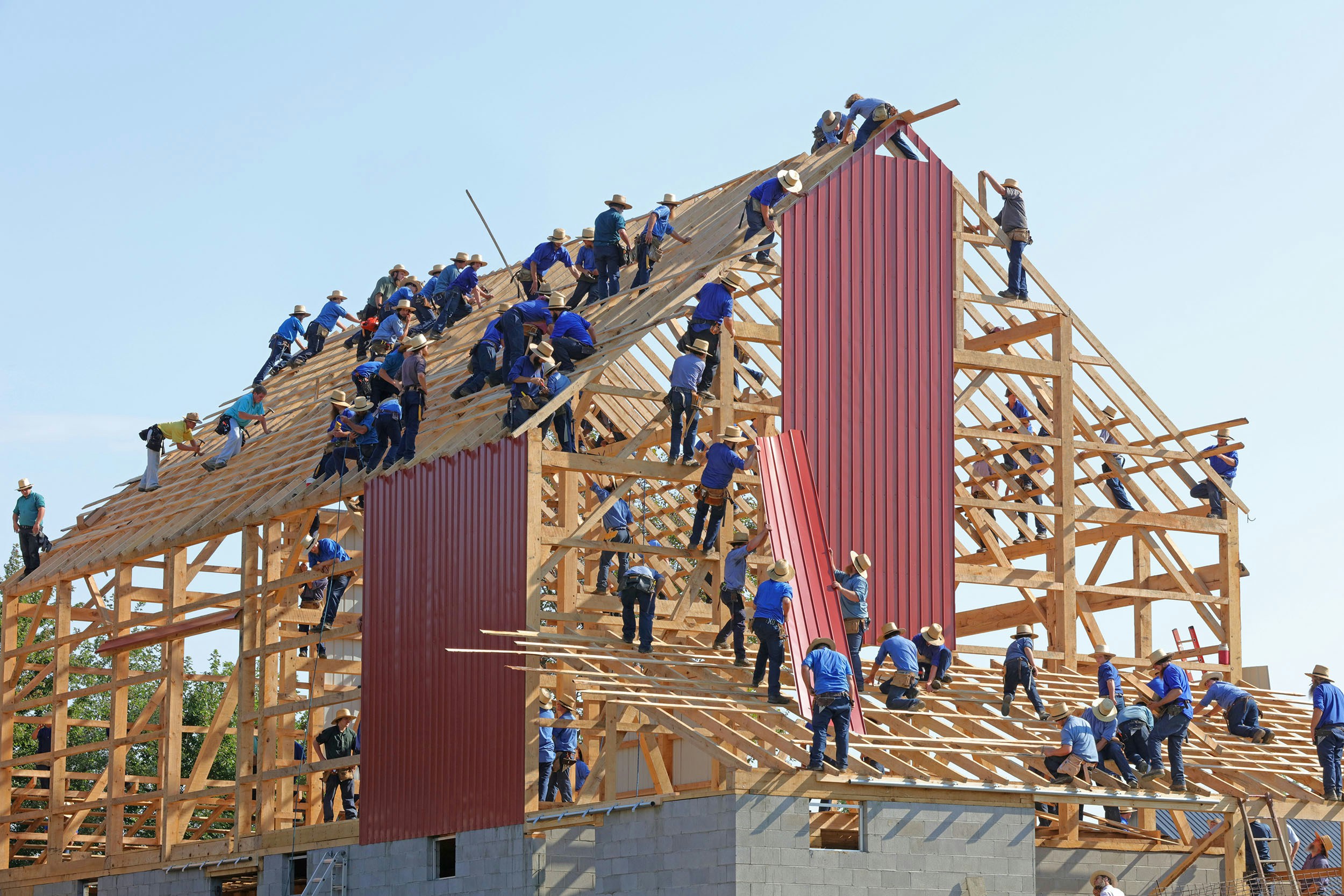 A large crowd of workers in matching shirts and straw hats swarm over the wooden frame of a barn, attaching red metal siding and roof panels by hand.